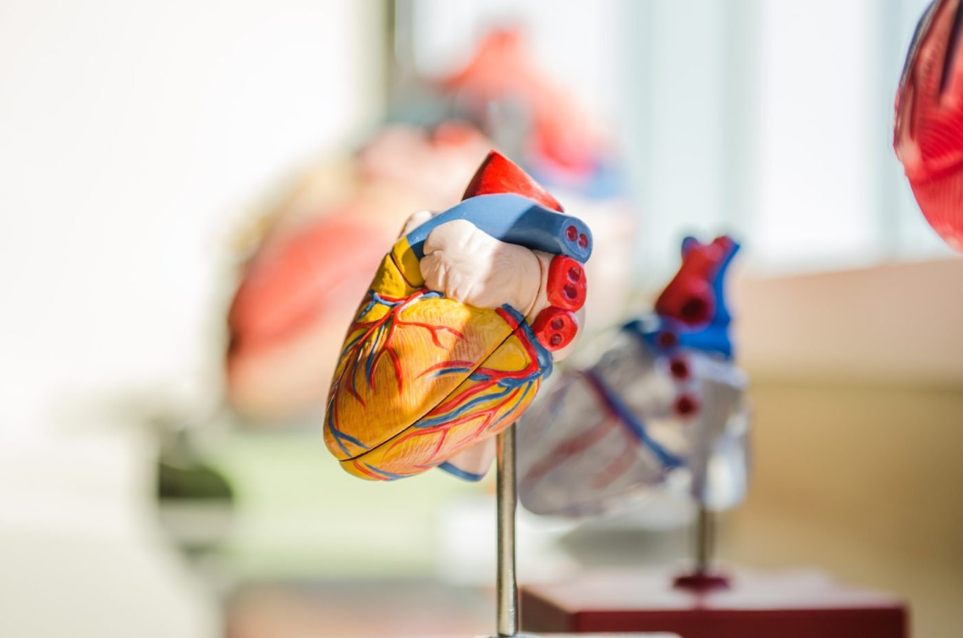 Bionest experts discuss the growing adoption of artificial intelligence (AI) / machine learning in the field of cardiology