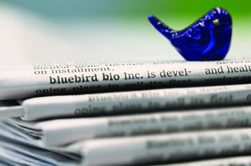 Bionest experts reflect on gene therapy developer bluebird bio